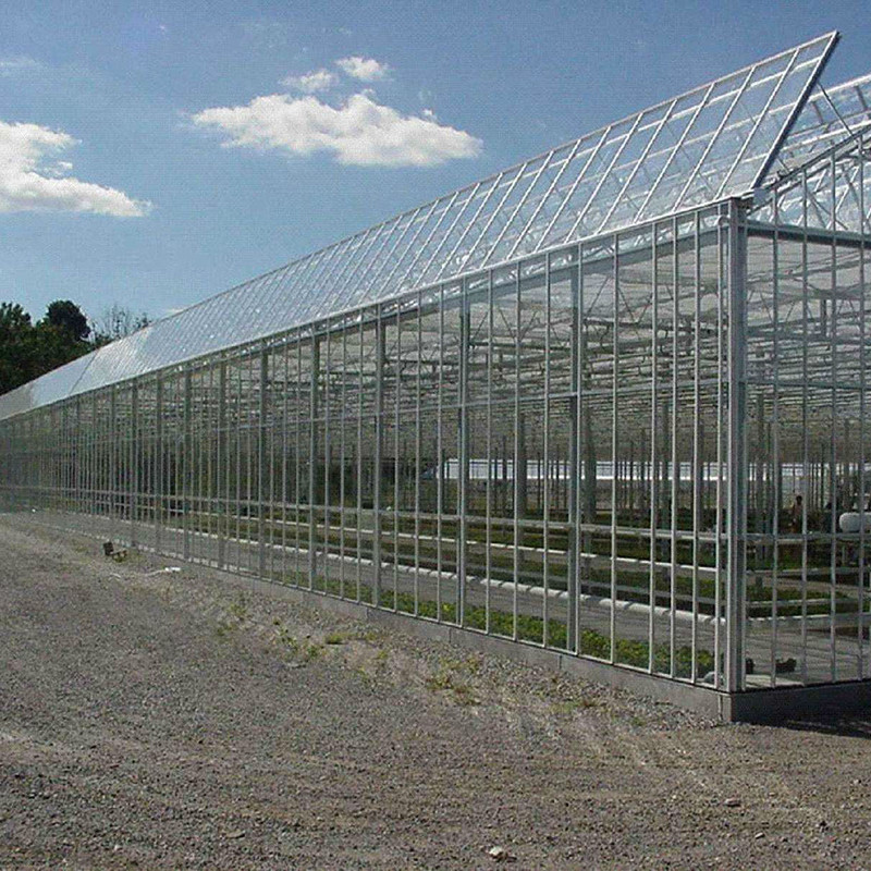【強泰溫室大棚】智能溫室 智能溫室大棚、智能溫室大棚制造安裝、智能溫室大棚生產廠家、山西智能溫室大棚、河北智能溫室大棚圖片_高清圖_細節圖-天津強泰鋼鐵貿易 -