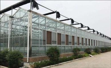 玻璃溫室大棚,怎樣進行日常維護?