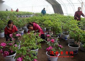 2月1日 微博中的渭南事(組圖)