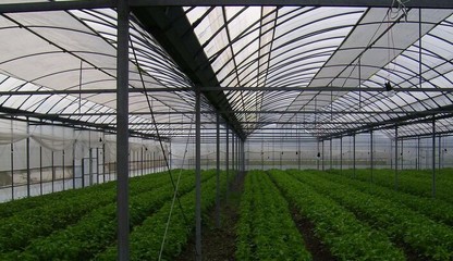 華為溫室100 大棚建設玻璃連棟溫室大棚建設都應用的方面