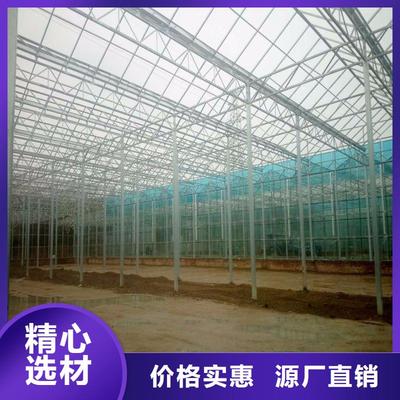 蔬菜溫室大棚管好產品有口碑_河南省鄭州市【 (本土)