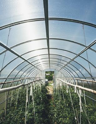 溫室大棚用薄膜 服務周到