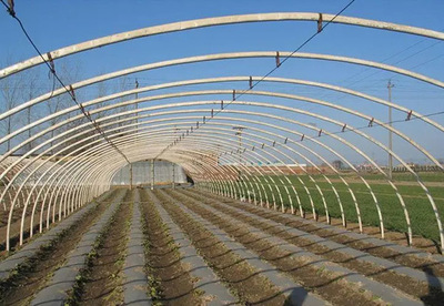 溫室大棚管敷設-大理溫室大棚管-振大大棚管批發(查看)