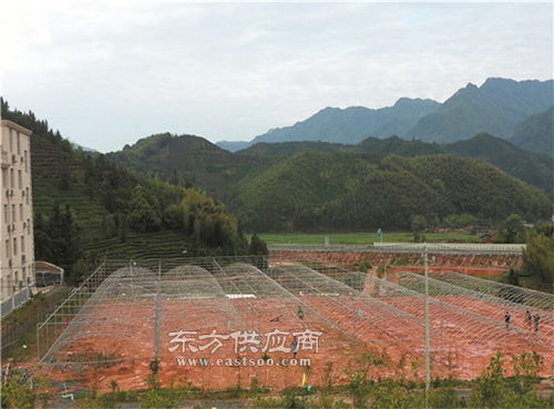 蔬菜溫室大棚安裝 龍巖蔬菜溫室大棚 福建蔬菜溫室大棚廠家圖片