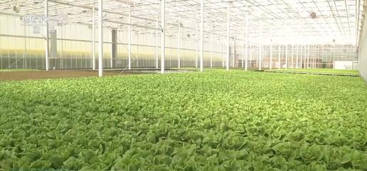 新裝備、新科技加速農產品提質 助力現代農業增效