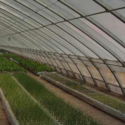 豫拓 鄭州蔬菜所 蔬菜大棚直銷 溫室大棚定制