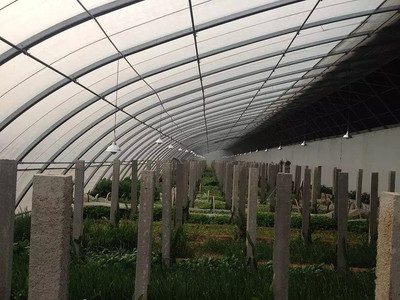 承建蔬菜大棚 溫室工程 溫室大棚 蔬菜大棚 建造溫室工程