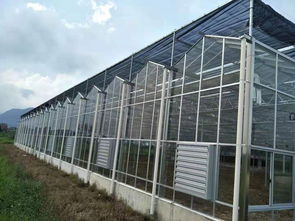 連體薄膜溫室骨架廠玻璃溫室鋼架電動卷膜器