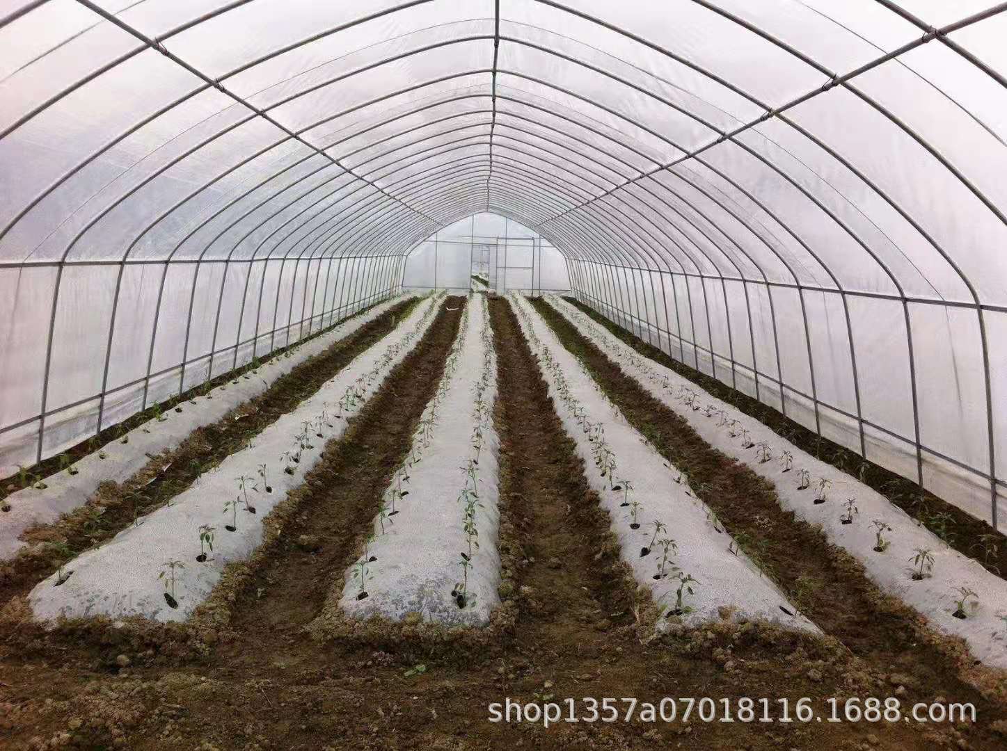 重慶批發蔬菜大棚管 萬州 黔江鍍鋅管 四川達州大棚膜 大竹卡槽