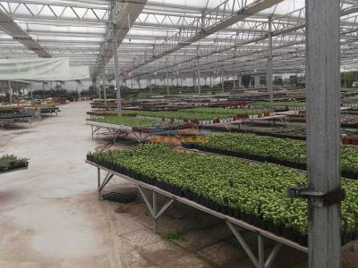 多功能溫室大棚 哪里有提供口碑好的溫室大棚