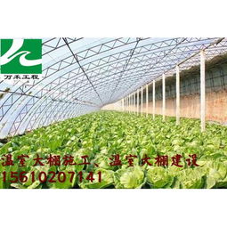 溫室 大棚價格 河北河南山西溫室大棚建造公司 冬暖式全鋼架大棚批發價格 濰坊市
