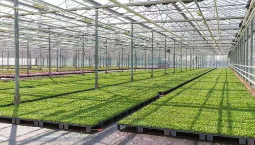 電動車充電,在小區種菜,小區打印店 超市,小區幼兒園