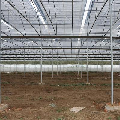 【興晟農業】專業生產制造各種溫室大棚 咸陽蔬菜大棚 咸陽蔬菜大棚建造 咸陽溫室大棚骨架 咸陽幾字鋼大棚骨架圖片_高清圖_細節圖