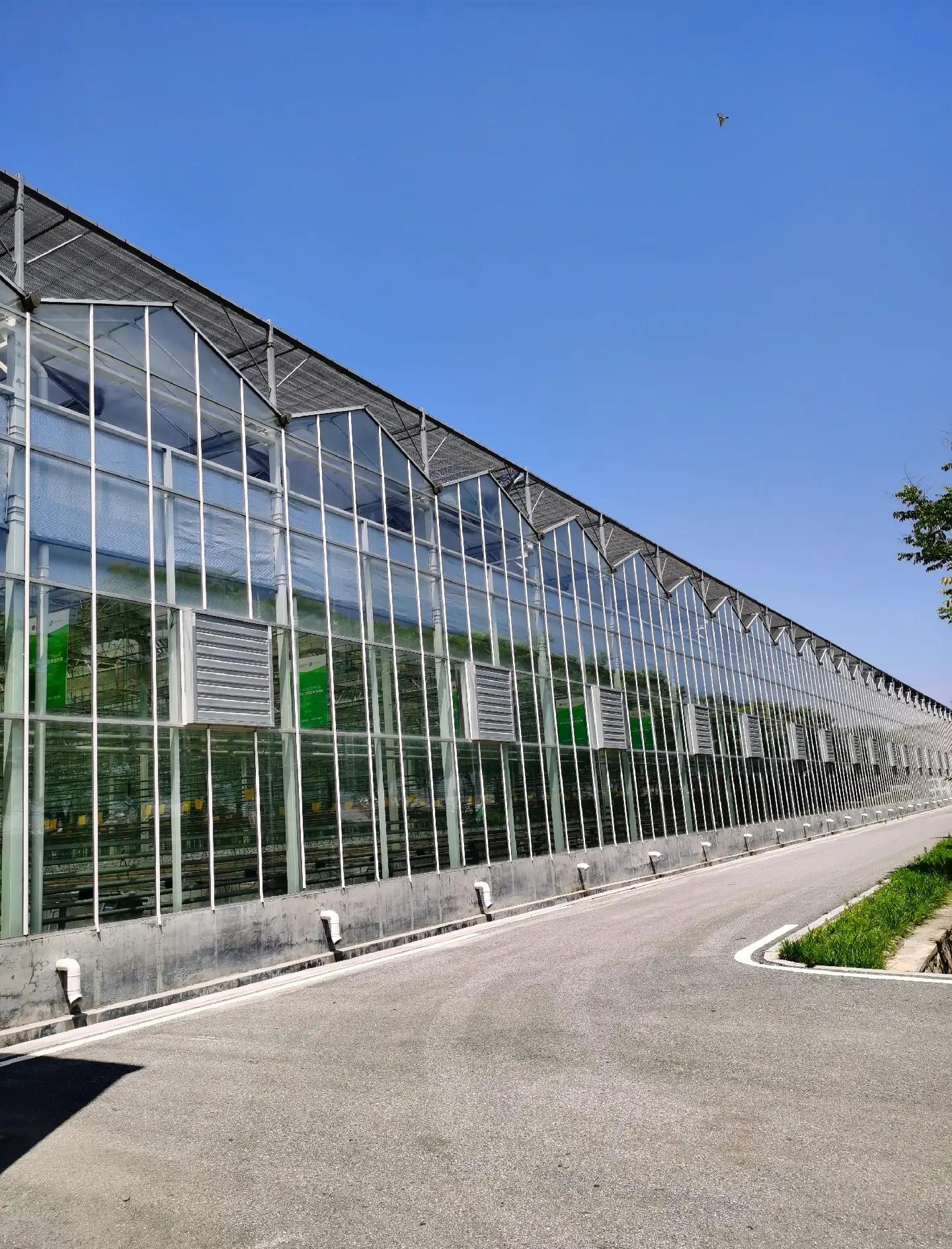 全玻璃溫室大棚:現代農業的透明選擇