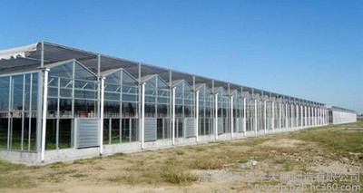 耀陽溫室大棚 專業工程、優質設備與蔬菜大棚加溫解決方案