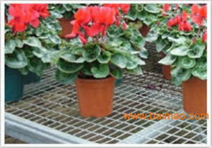 安平苗床網 專業生產與批發，溫室大棚的理想選擇