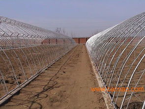 信譽卓越的溫室大棚建造首選——華亮重工光伏農業大棚