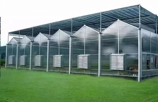 溫室大棚的種類及優點