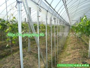 供應臺州臨海單體鋼管溫室葡萄大棚 GP825