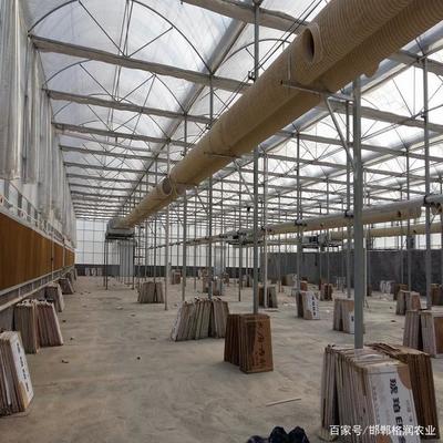 陽光板溫室大棚的選擇