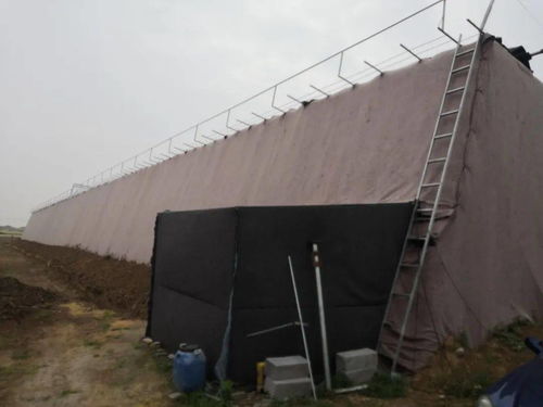 溫室大棚夯實穩定脫貧基礎，可持續經濟發展區扶貧項目管長遠