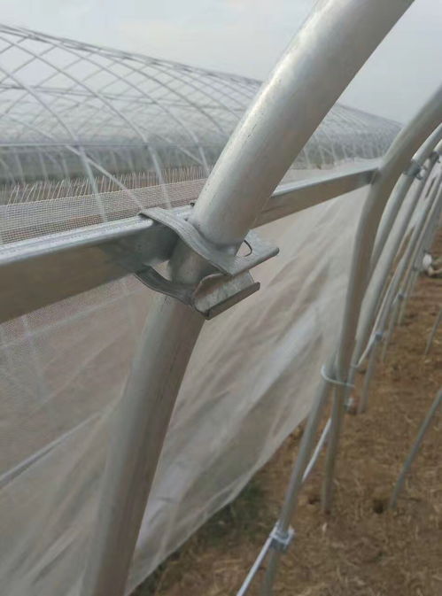 河南三門峽義馬建設一畝鍍鋅管溫室大棚的成本及廠家推薦