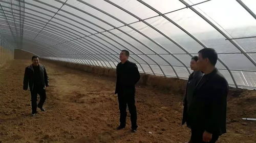 城關街道褚王村集體經濟走上康莊大道 輕鋼龍骨加工廠與日光溫室大棚助力脫貧騰飛