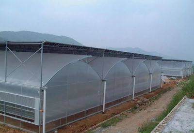 連棟溫室大棚的特點與成本分析