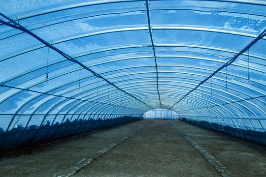 蔬菜大棚與溫室大棚 現代農業生產的關鍵設施