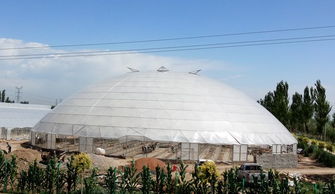 9.5畝鳥巢溫室型霧培蔬菜工廠基地設計與建設方案