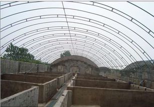溫室大棚 現代農業的智慧堡壘