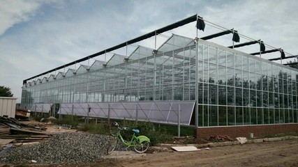 江蘇溫室連棟大棚 源大溫室的智能溫室大棚技術革新與應用