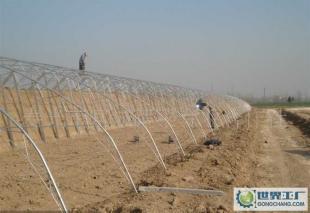 廠家直銷物廉價美溫室大棚工程建設與農副產品生產