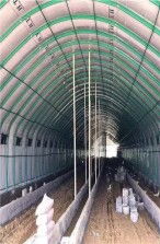 潛江養殖溫室大棚價格詳解 多少錢一平方？